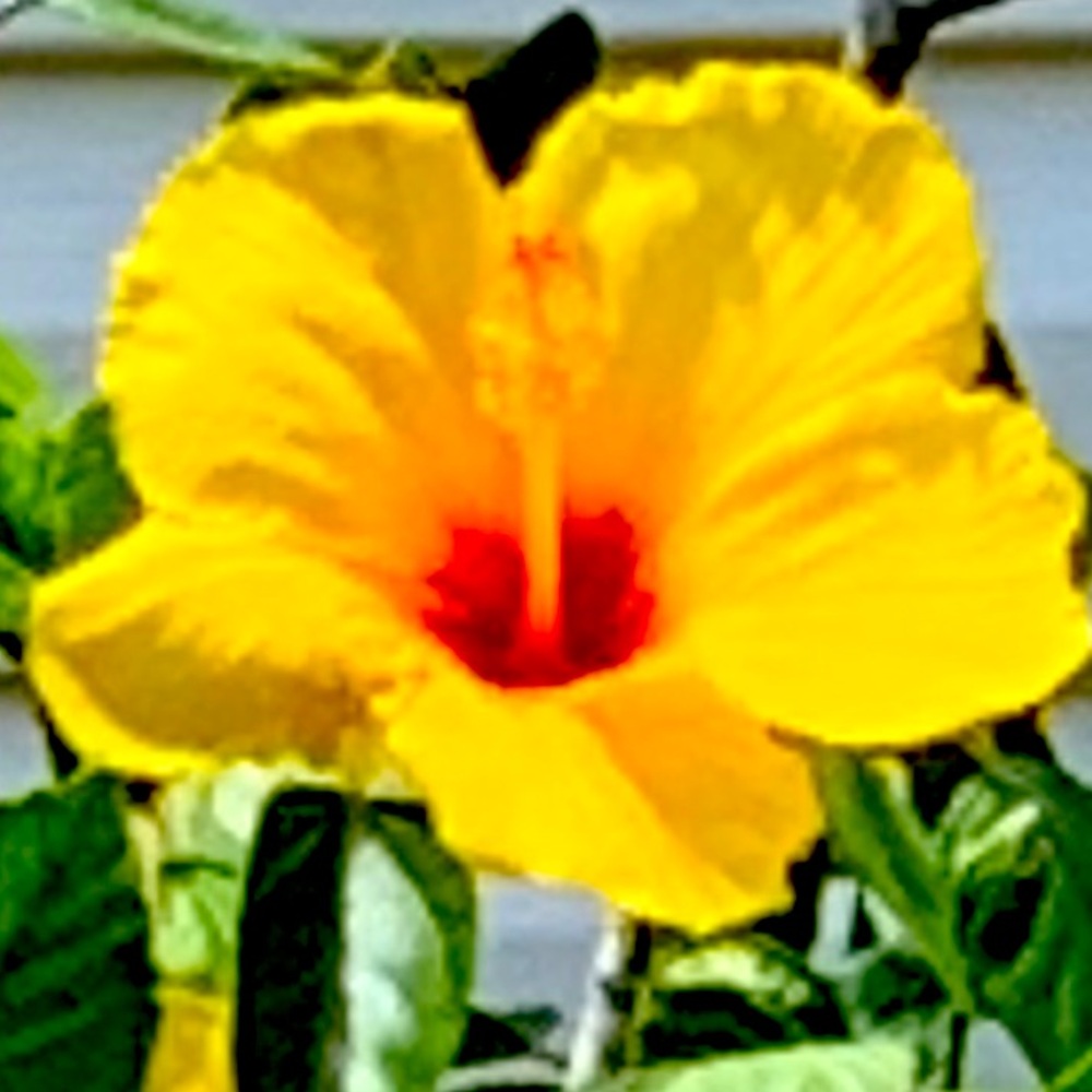 Meet your Posher, Tim dana